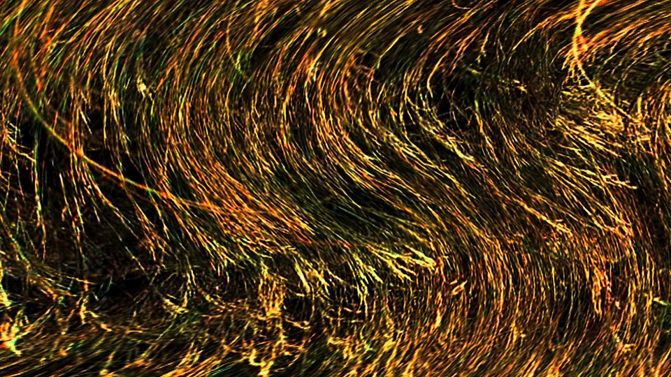 Aurulent-POS4