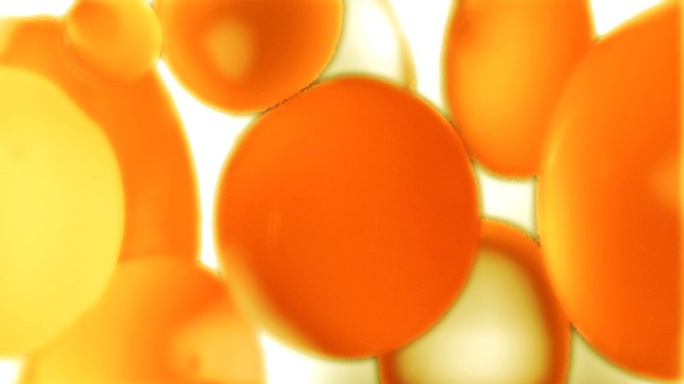 Citron
