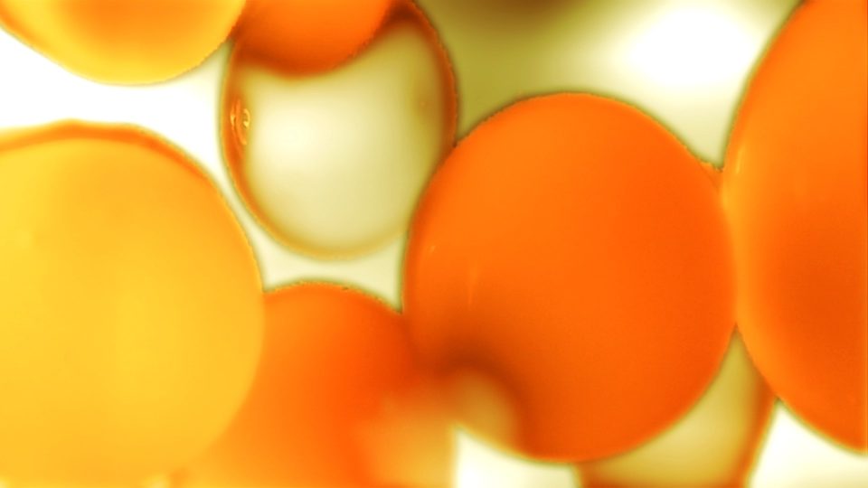 Citron-POS2