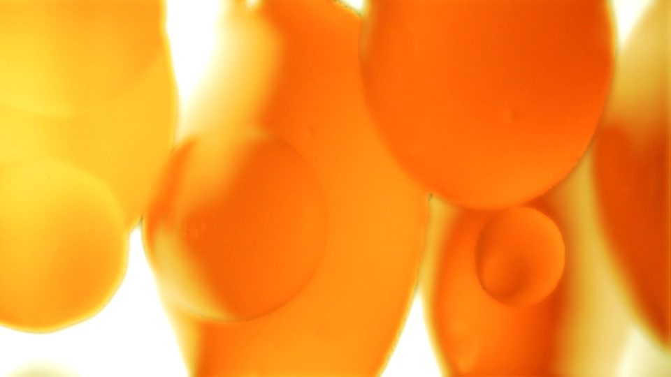 Citron-POS3