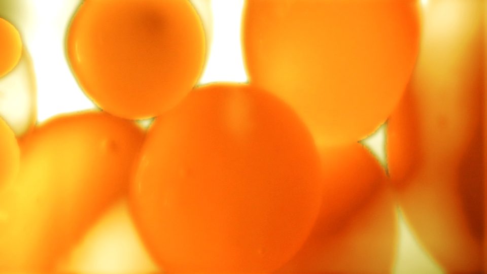 Citron-POS4