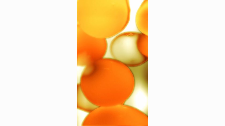 Citron-V-POS2