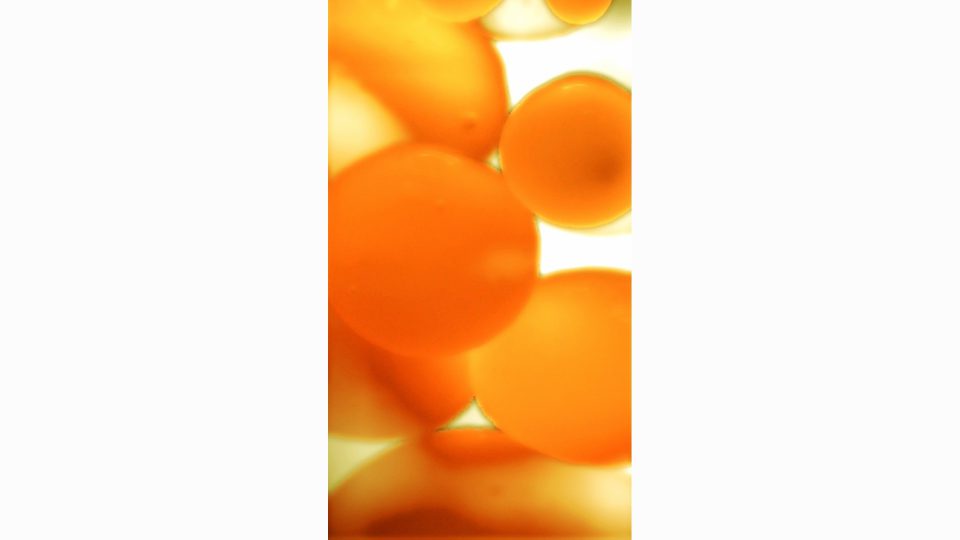 Citron-V-POS4