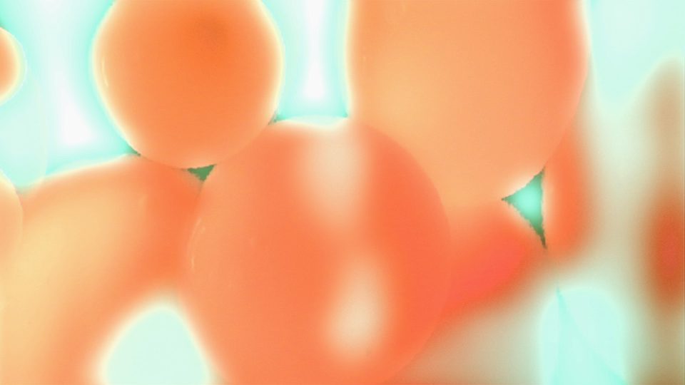 Electric-Lava-Tangerine-POS4