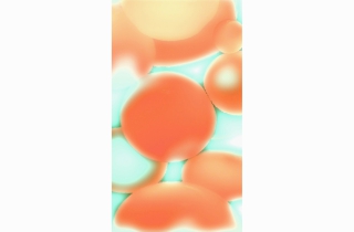 Electric Lava Tangerine