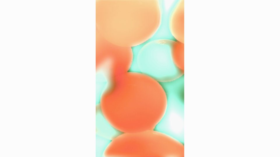 Electric-Lava-Tangerine-V-POS2