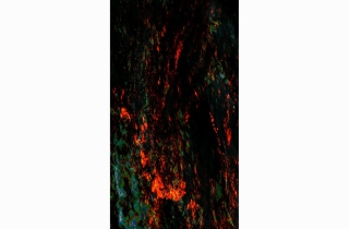 Elemental