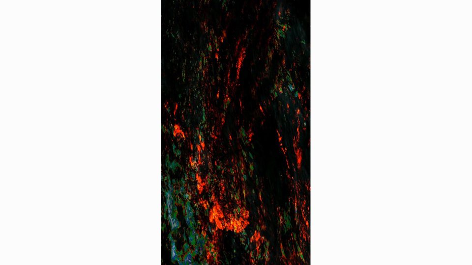 Elemental