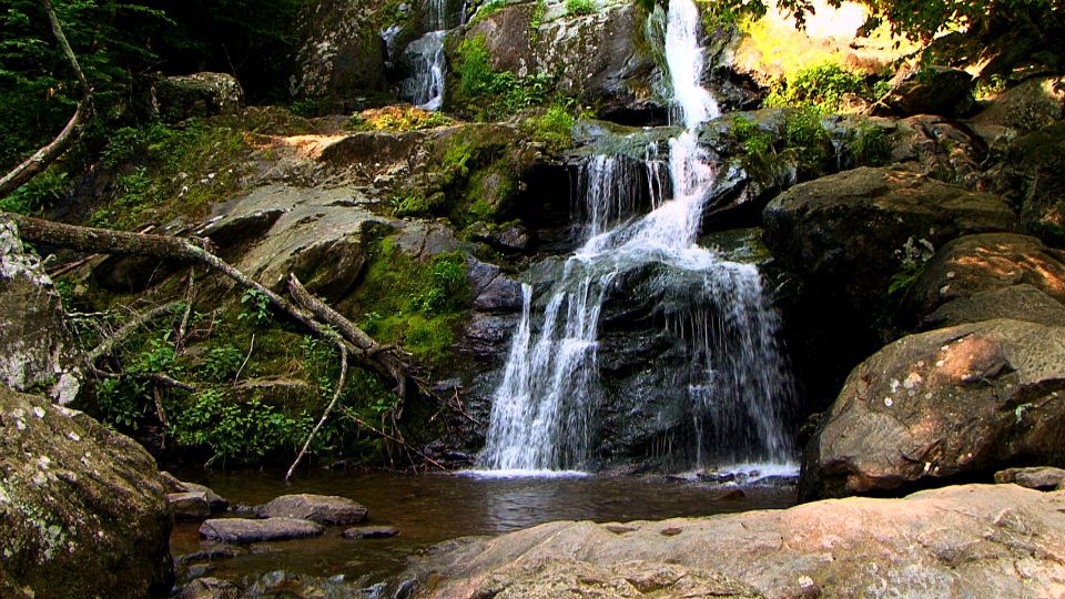 Falls Of Summer