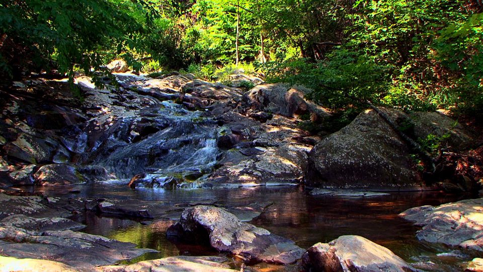 Falls-Of-Summer-POS2
