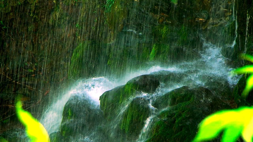 Falls-Of-Summer-POS3