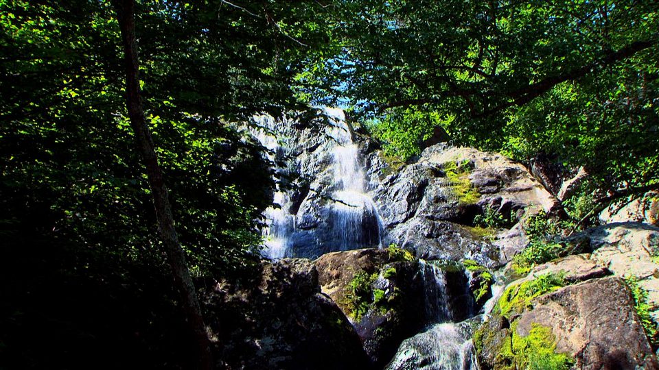 Falls-Of-Summer-POS4