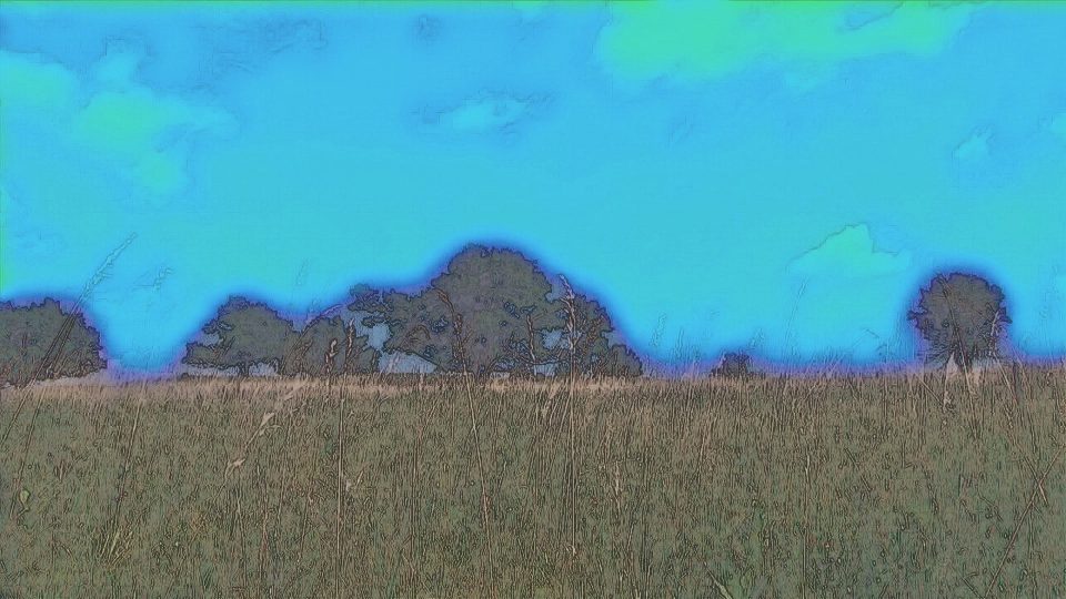 Grass-Fields-POS2 Grass-Fields-POS2