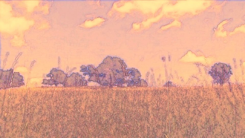 Grass-Fields-POS3 Grass-Fields-POS3