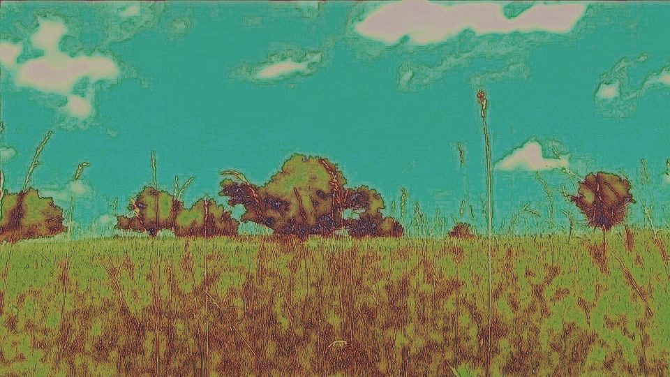 Grass-Fields-POS4 Grass-Fields-POS4
