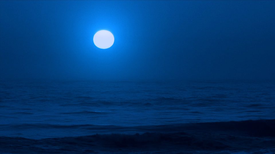 Indigo Sun