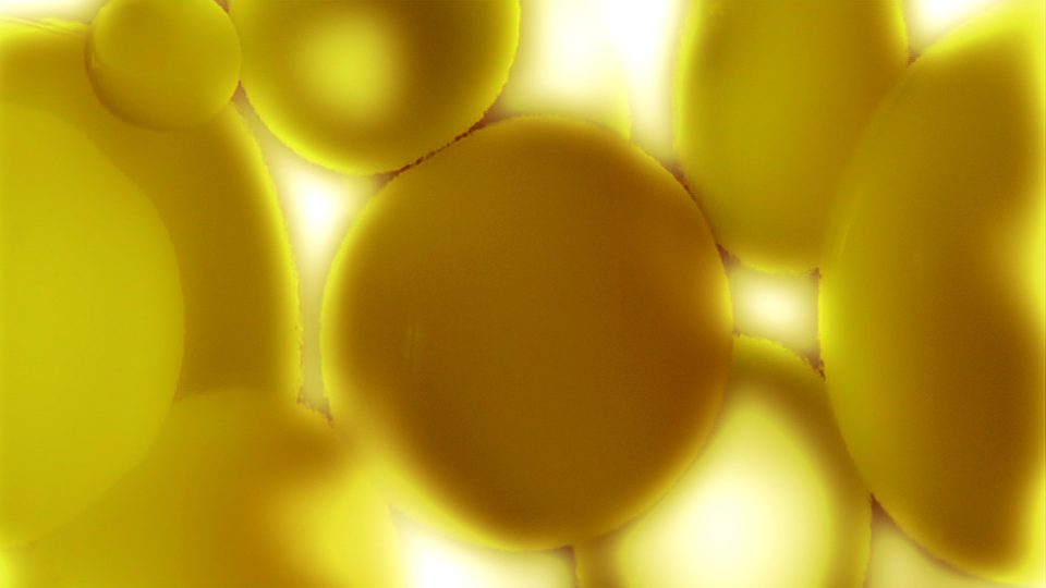 Lava Glo Gold