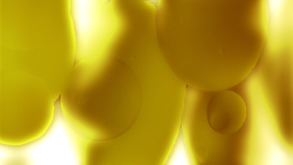 Lava-Glo-Gold-POS3