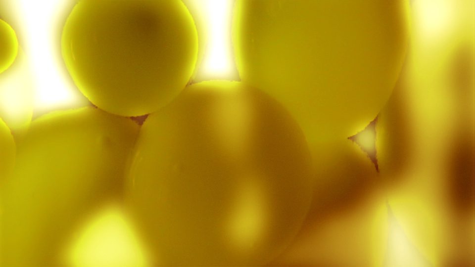 Lava-Glo-Gold-POS4