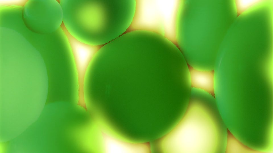 Lava Glo Green