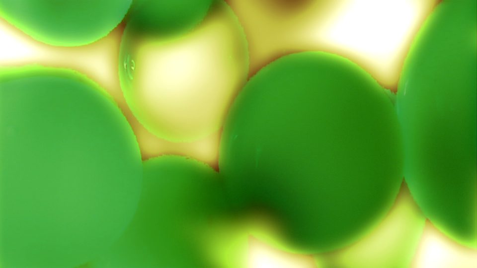 Lava-Glo-Green-POS2 Lava-Glo-Green-POS2