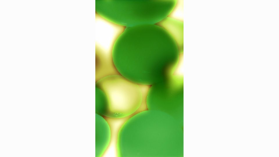 Lava-Glo-Green-V-POS2