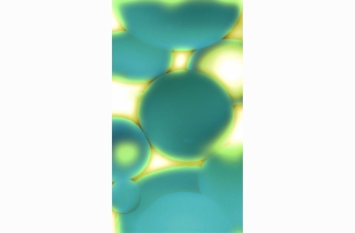 Lava Glo Teal