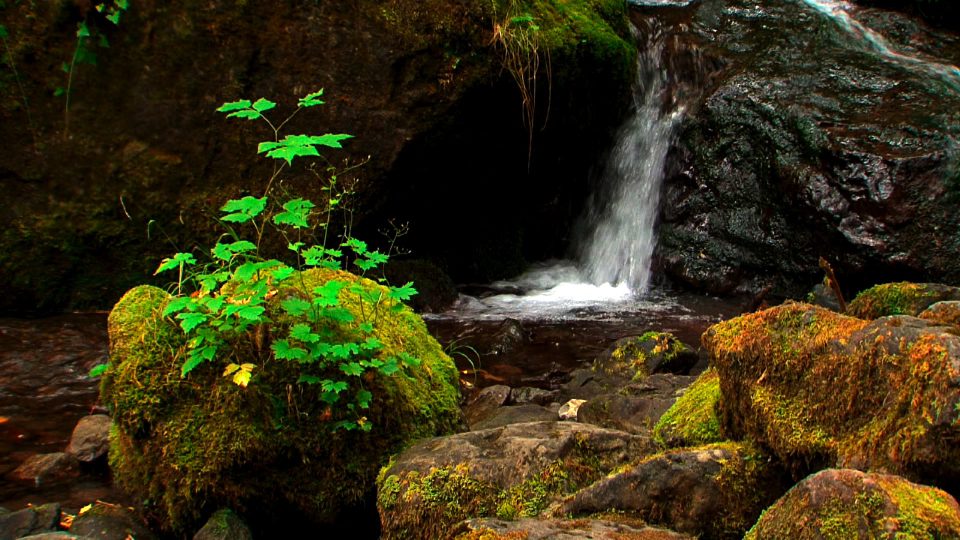 Petite Falls