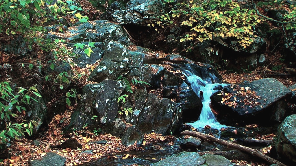 Petite-Falls-POS2