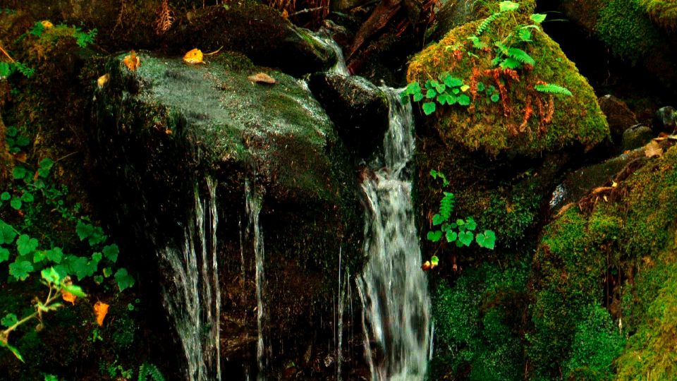 Petite-Falls-POS3