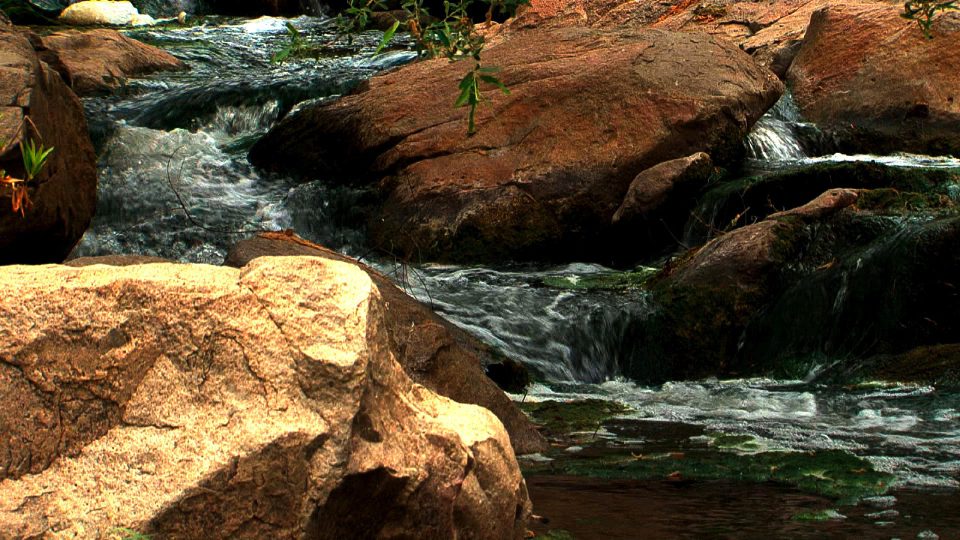 Petite-Falls-POS4