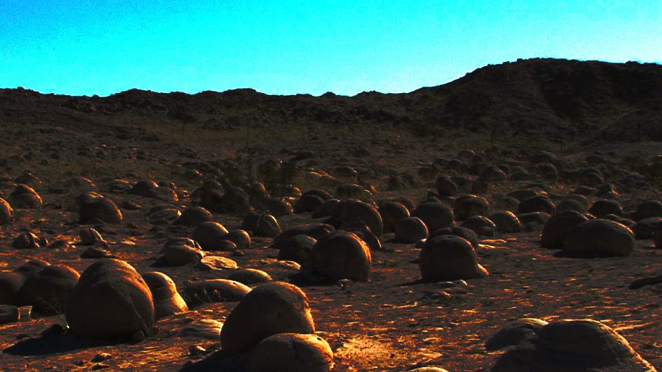 Planetary Solace
