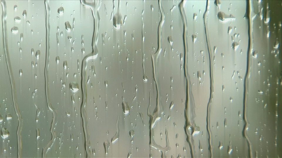 Reflections In Rain