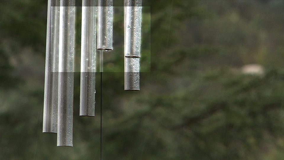 Reflections-In-Rain-POS3