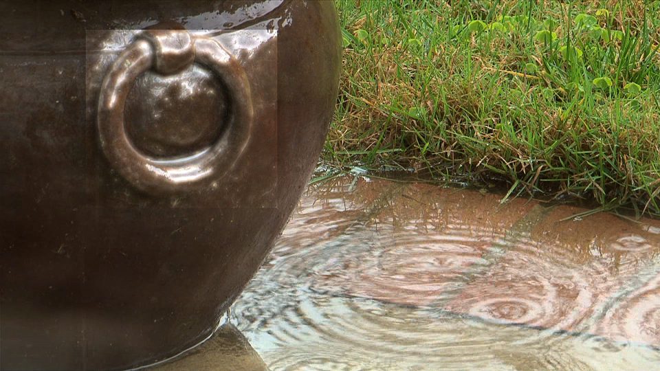 Reflections-In-Rain-POS4
