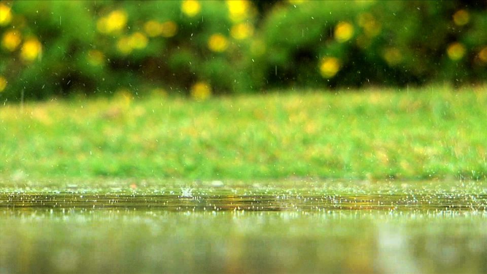 River Of Tears