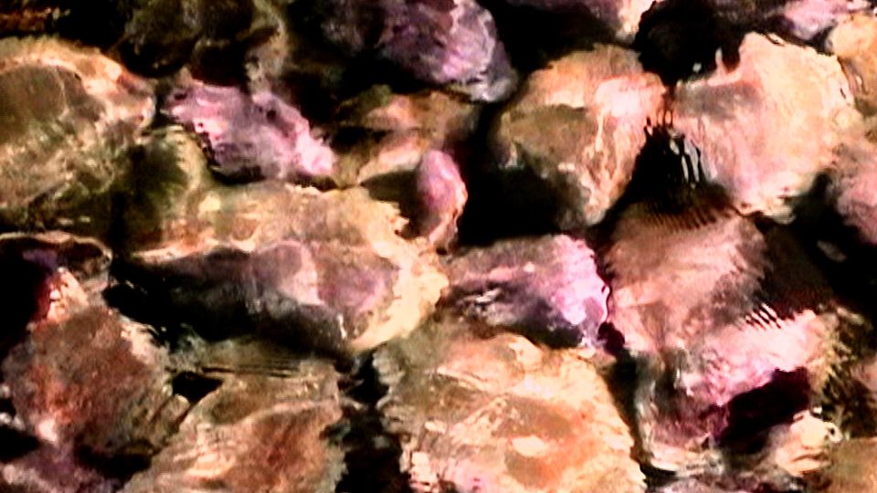 Sepia-Stones-POS3