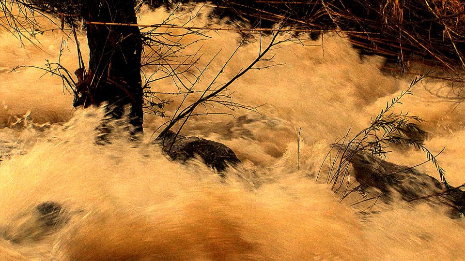 Sepia Stream