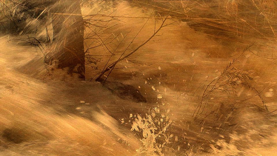 Sepia-Stream-POS2