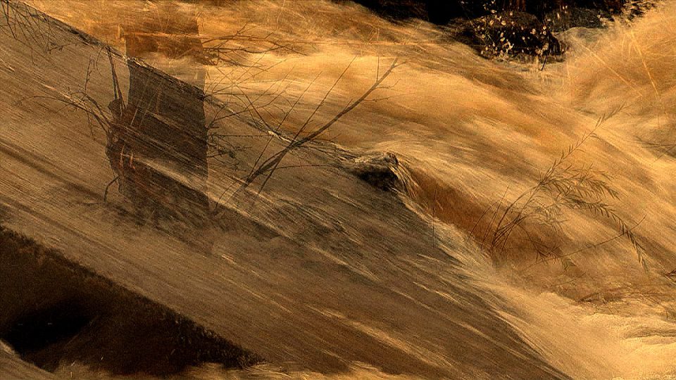 Sepia-Stream-POS3