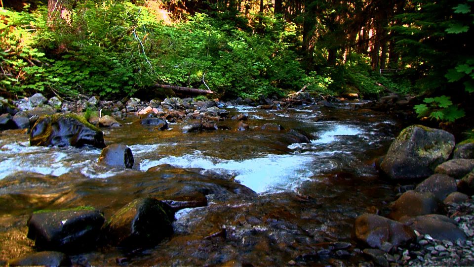 Sun-Kissed-Stream-POS3 Sun-Kissed-Stream-POS3