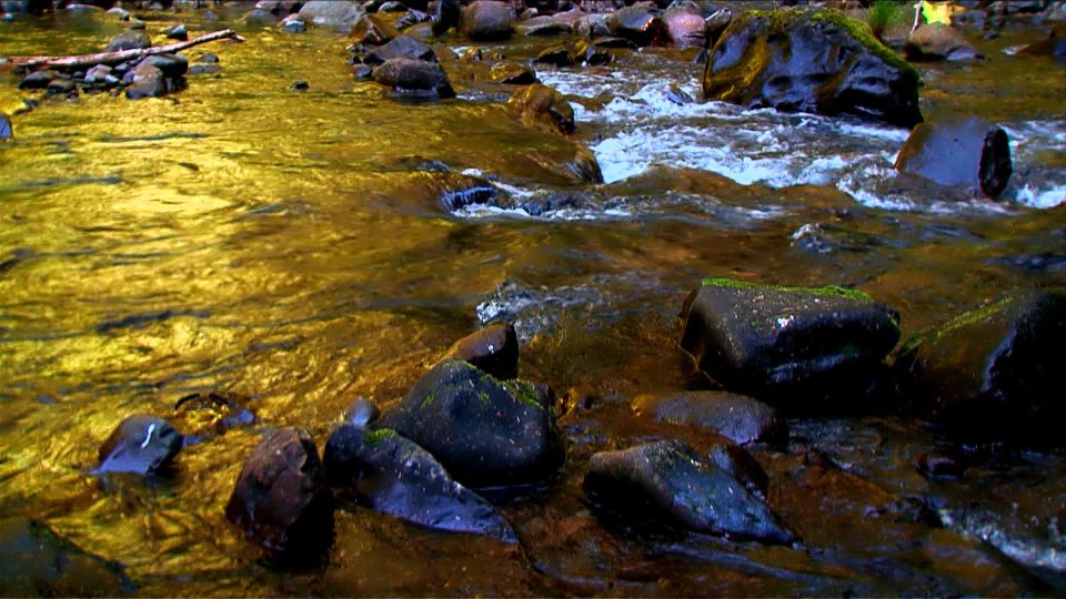 Sun-Kissed-Stream-POS4 Sun-Kissed-Stream-POS4