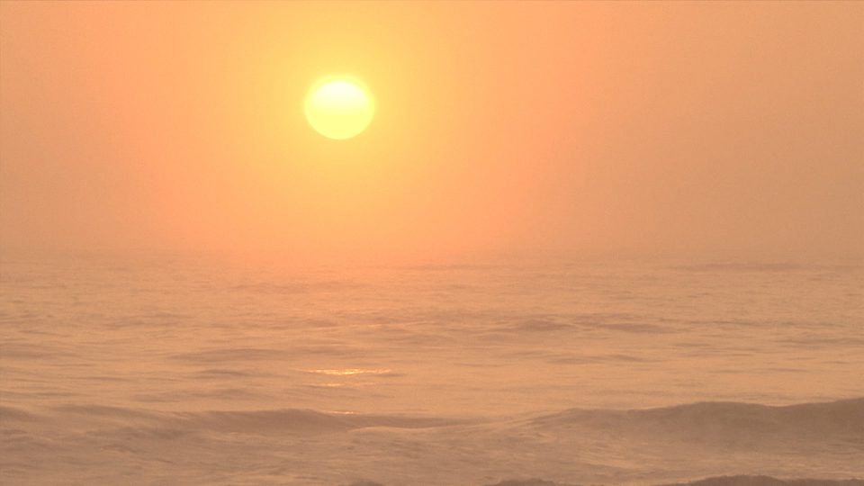The Color Of Morning