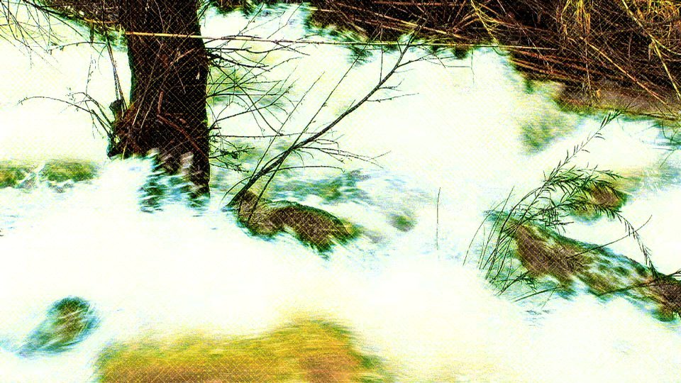 Torrent