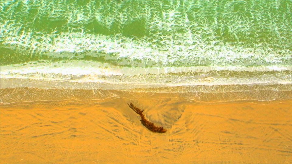Waves-POS2 Waves-POS2