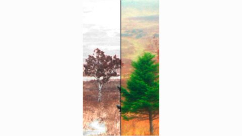SEASONAL / HOLIDAY (VERTICAL)